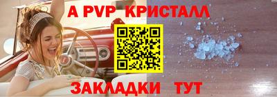 прущие грибы Моздок