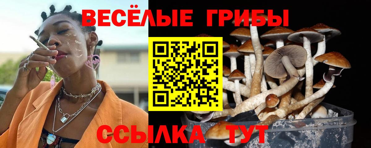 Тавда  хочу наркоту  Вход с VPN  Псилоцибиновые грибы GOLDEN TEACHER 