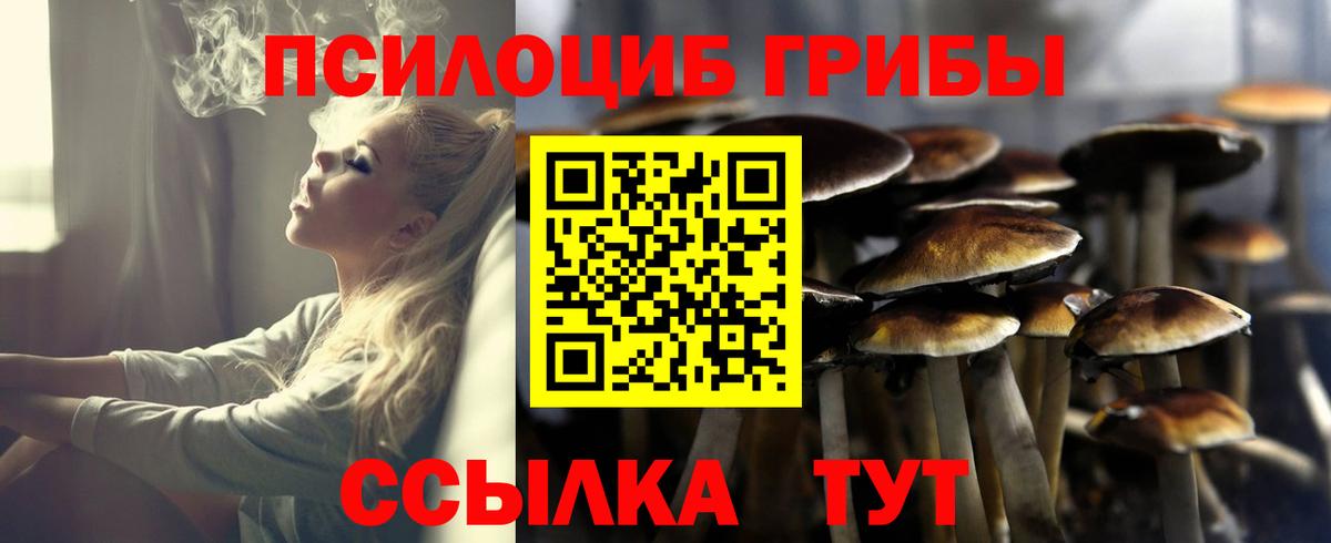 Галлюциногенные грибы Magic Shrooms Тавда