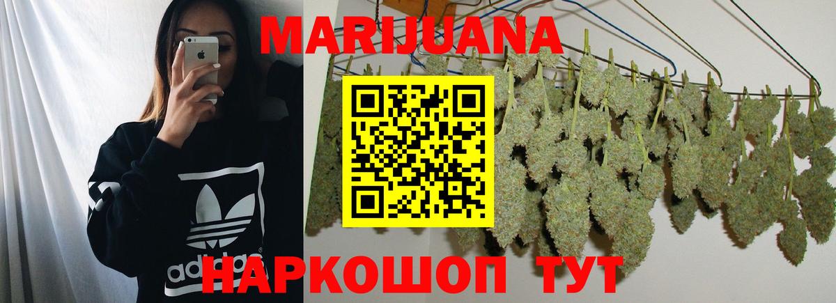 Конопля сатива  Каннабис OG Kush  Тавда  Шишки марихуана тримм  Вход с VPN 